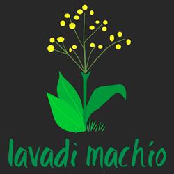 Horario de apertura LAVADI MACHIO C.B., Almendralejo