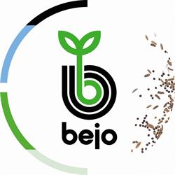 Horario de apertura Bejo Ibérica, San Agustín de Guadalix
