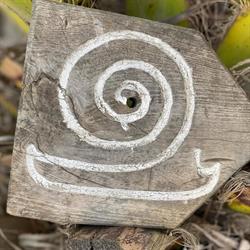 Horario de apertura El Caracol, El Pinar