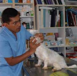 Horario de apertura Clinica Veterinaria Islavet, San Fernando