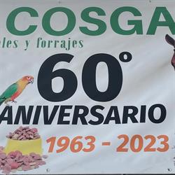 Horario de apertura Cosga, Castellón de la Plana