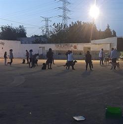 Horario de apertura EDUKA DOG, Sangonera la Verde