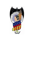 Falla Zapadores Vicente Lleó en Valencia (Eixample) - Horario de apertura