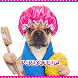 Horario de apertura PerruqueriaDebora, Madrid