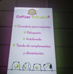 Horario de apertura Colitas Peludas Peluqueria canina y felina, Totana