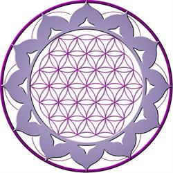 Horario de apertura Reiki Barcelona AMTH,