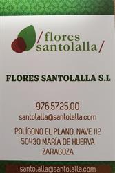 Horario de apertura Flores Santolalla Sl, María de Huerva