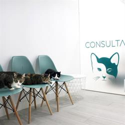 Horario de apertura Hospital Veterinario Siglo XXI Boadilla del Monte, 