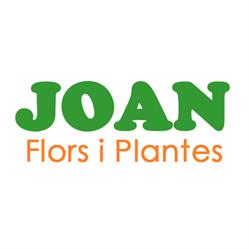 Horario de apertura Flors Joan, Alella