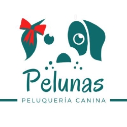 Horario de apertura Pelunas, peluquería canina, Almussafes
