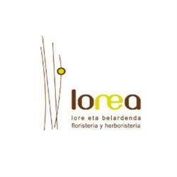Horario de apertura Herboristeria Lorea, Altsasu
