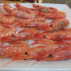 Horario de apertura Tasca La Pulperia, Dénia