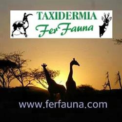 Horario de apertura Taxidermia Fer Fauna, Navahermosa