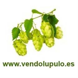 Horario de apertura Vendolupulo, Carrizo de la Ribera