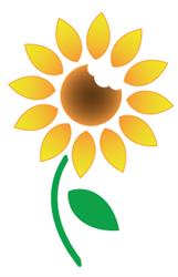 Horario de apertura Horno Vegano, Burjassot