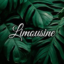 Horario de apertura Limousine Discoteca, Elche