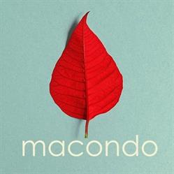 Horario de apertura Macondo, León