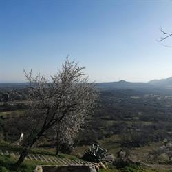 Horario de apertura El Mirador de Zarzalejo, 
