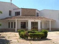 Horario de apertura Cepa Campos del Záncara, San Clemente
