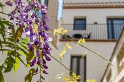 Horario de apertura Hotel Sa Voga Arenys, Arenys de Mar