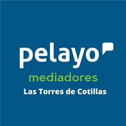 Horario de apertura Seguros Pelayo Las Torres De Cotillas, Murcia