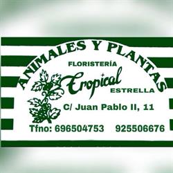 Horario de apertura Floristeria Tropical Estrella, Añover de Tajo