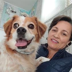 Horario de apertura Coquettos Peluqueria Canina y Felina, Alhama de Murcia