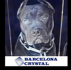 Horario de apertura Barcelona Crystal,