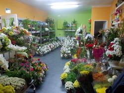 Horario de apertura Floristeria El Perchel, San Agustín de Guadalix