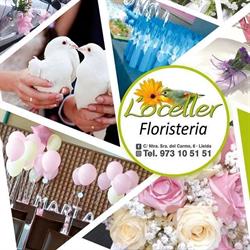 Horario de apertura Oceller Floristeria Y Mascotas, Lleida