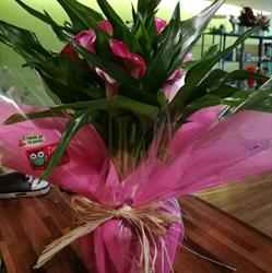 Horario de apertura Floristería El rincón de tu jardín, Archidona
