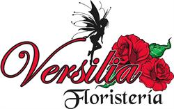 Horario de apertura Versilia Floristeria, San Miguel