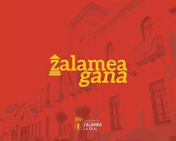 Horario de apertura Ayuntamiento de Zalamea la Real, 