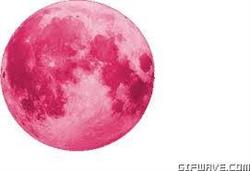 Horario de apertura LUNA ROSA Mercería, Talavera de la Reina