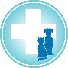 Horario de apertura Centro Veterinario Mas del Rosari, Paterna