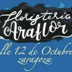 Floristería Araflor en Zaragoza (San José) - Horario de apertura