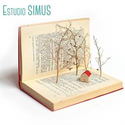 Horario de apertura Estudio SIMUS, Madrid