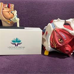 Fisioterapia y Pilates Verónica Abenia en Zaragoza (Casco Antiguo) - Horario de apertura