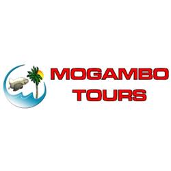 Horario de apertura Mogambo Tours, Benidorm