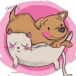 Horario de apertura Peluqueria canina Como el Perro y el Gato, Benidorm