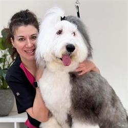Horario de apertura PapillonMadrid peluqueria canina, Majadahonda