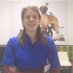 Horario de apertura Centre veterinari Badavet, Badalona