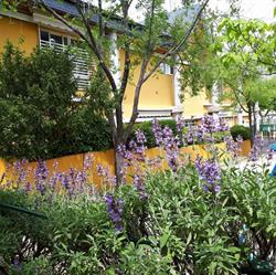 Horario de apertura Escuela de Educación Infantil la Dehesa, El Escorial