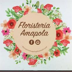 Horario de apertura Floristería Amapola, Guadalajara