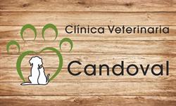 Clínica Veterinaria Candoval (Veterinario San Andrés) en Vigo (Coia) - Horario de apertura