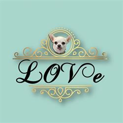 Horario de apertura Love MODA & STYLE, Torre-Pacheco