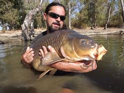 Coletas carp en Córdoba (Sureste) - Horario de apertura