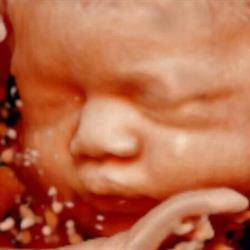 Horario de apertura VisionBaby, Ecografía 4D/5D/8K, Pontevedra