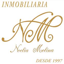 Horario de apertura Noelia Molina Inmobiliaria, Águilas