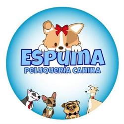 Horario de apertura Peluqueria Canina Espuma, Alicante